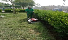 حملات مكثفة للنظافة بشوارع وميادين الحي