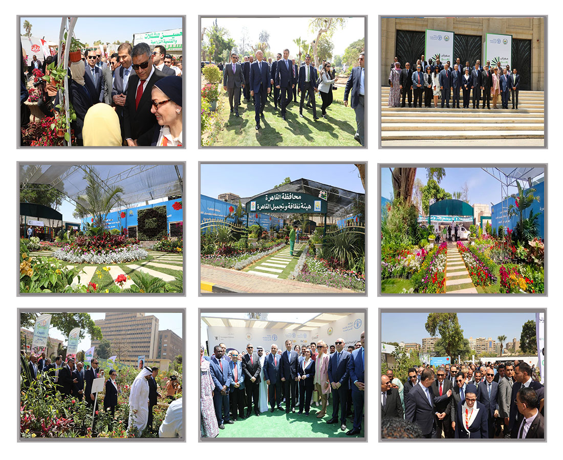 https://cairo.gov.eg/ar/Photos/gawlat/gawlat2025/gawal20-4-2025/elmat7af-elzra3y.jpg