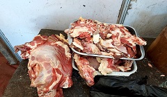 حملة مكبرة على محلات الجزارة والطيور 