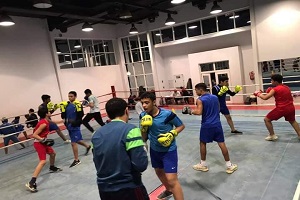 مركز شباب الجزيرة يعلن موعد تدريبات الملاكمة