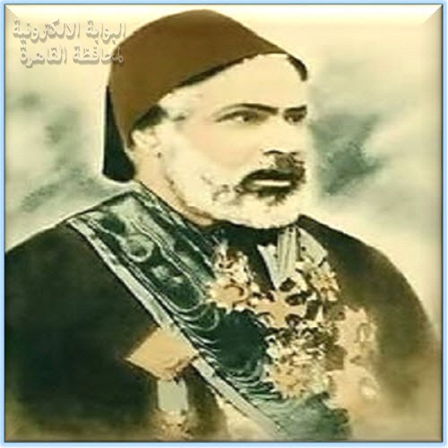 شارع محمود الفلكي باشا