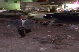 حملة للقضاء على الكلاب الضالة بحي طره