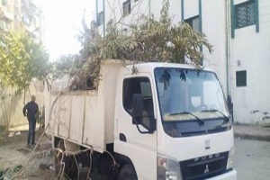 تقليم الأشجار ورفع المخلفات بحي مصر القديمة