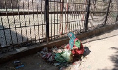 تكثيف حملات النظافة بالحي