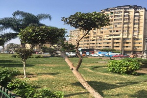 قص وتهذيب الأشجار بنطاق الحي