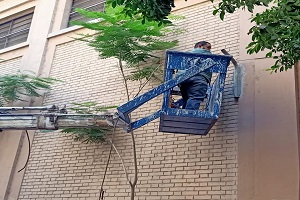 إستكمال أعمال الإنارة بالحي