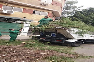 متابعة اعمال قص وتقليم اشجار