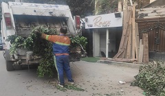 رفع كفاءة النظافة وقص وتقليم الاشجار ببعض المناطق بالحي