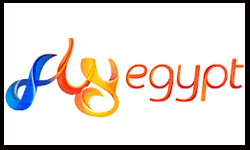 شركة فلاي ايجيبت