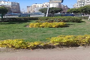 رفع كفاءة مثلث باب اللوق