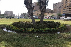 تجميل وزراعة حديقة ميدان باب الشعرية