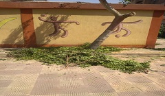  استعداد لبدء العام الدراسي الجديد بنطاق الحى