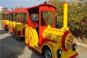 طفطف السيده زينب يجوب الشوارع الرئيسية