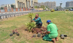 رفع كفاءة منطقه استاد القاهرة والمناطق المحيطة بها 
