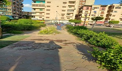 حملة مكبرة للنظافة بالمنطقة الجنوبية 