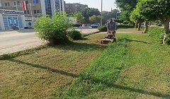 رفع كفاءة وتطوير الحدائق والمسطحات الخضراء بالحي
