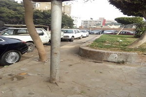 رفع مخلفات الأشجار والقيام بأعمال نظافة بمربع غرب المعادي