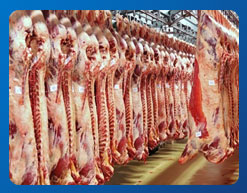 مشروع تحسين الخدمة المجزرية