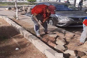 أعمال تطوير ورفع كفاءة الارصفة بشارع عبد القوي احمد