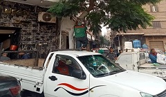 قص وتقليم وتهذيب وتجميل الأشجار بنطاق الحى 