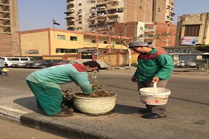 أعمال تجميلية بالحي