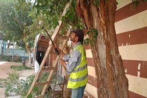 حملات نظافه وتكثيف التشجير والتجميل بشوارع الحي