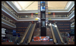 مول الترجمان