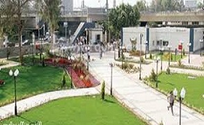 مركز شباب الجزيرة يفتتح اكاديمية النادي الاهلي