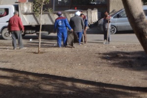 أعمال نظافة وتشجير بنطاق الحي