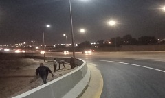 الاهتمام بمنظومة الانارة بكافة ارجاء القاهرة  