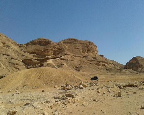 القاهرة العلاجية والبيئية - Image 2