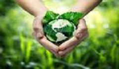 محافظ القاهرة: فتح باب التقدم للدورة الثانية بمبادرة المشروعات الخضراء 