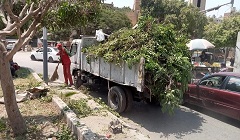 حملات لرفع مخلفات القمامة والأتربة ببعض شوارع الحي