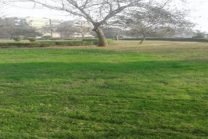 حملة لرفع الاشغالات بمنطقة صقر قريش وغلق وتشميع كافيهات بشارع 306