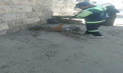 حملات نظافة مكبرة بنطاق الحي