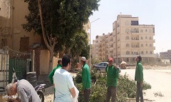 حملة لتقليم وتهذيب الأشجار بمنطقة المعراج السفلي