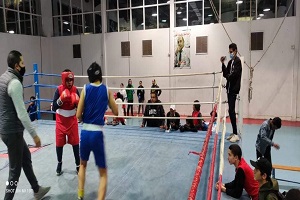 مركز شباب الجزيرة مصنع الابطال