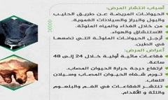 قافلة طبية مجانية تشمل الكشف وتوفير الدواء بالمجان للحيوانات بالحي 