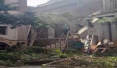 تقليم أشجار كنيسة مارجرجس