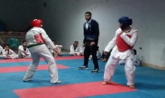 مركز شباب صقر قريش ينظم مبادرة بعنوان "صيفك رياضة وصحة"