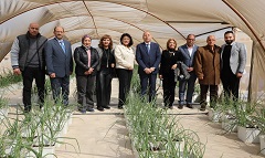 محافظ القاهرة يوجه بتعميم تجربة زراعة أسطح العقارات