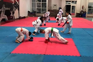 مركز شباب الجزيرة يعلن موعد تدريبات الملاكمة للبراعم