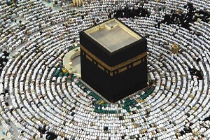 "التضامن": بدء تفويج ضيوف الرحمن اليوم الخميس إلى المدينة المنورة