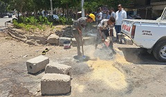 تشجير بعض الشوارع بنطاق الحى