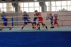 مركز شباب الجزيرة يعلن موعد تدريبات الملاكمة خلال شهر مارس