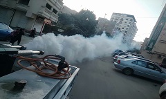 الحي يكثف جهوده في مكافحة القوارض والحشرات الضارة