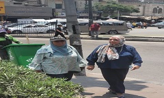 متابعة اعمال التشجير بميداني باب الشعرية وقشتمر