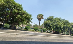 رفع كفاءة منظومة النظافة بالحي