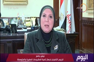 "تنمية المشروعات": تمويل 240 ألف مشروع بـ5.4 مليار جنيه