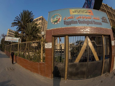 المتحف الجيولوجي المصري